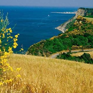 Parco del Monta San Bartolo