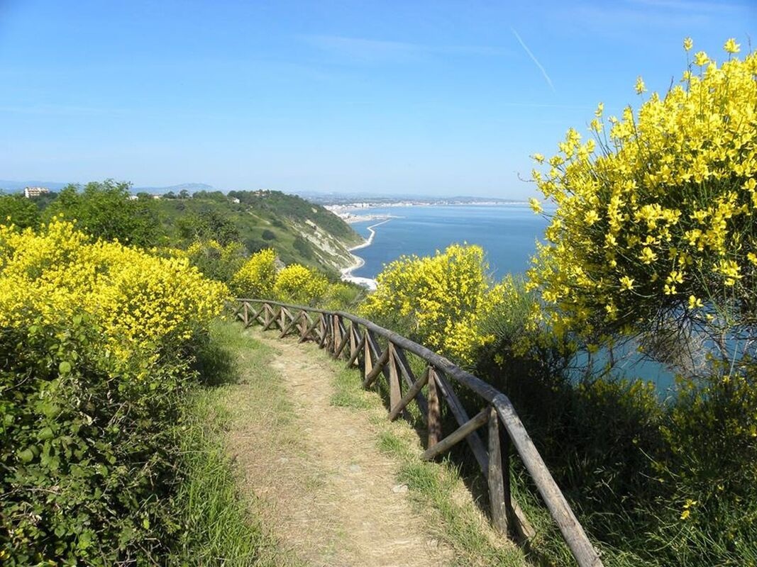 Parco Monte San Bartolo